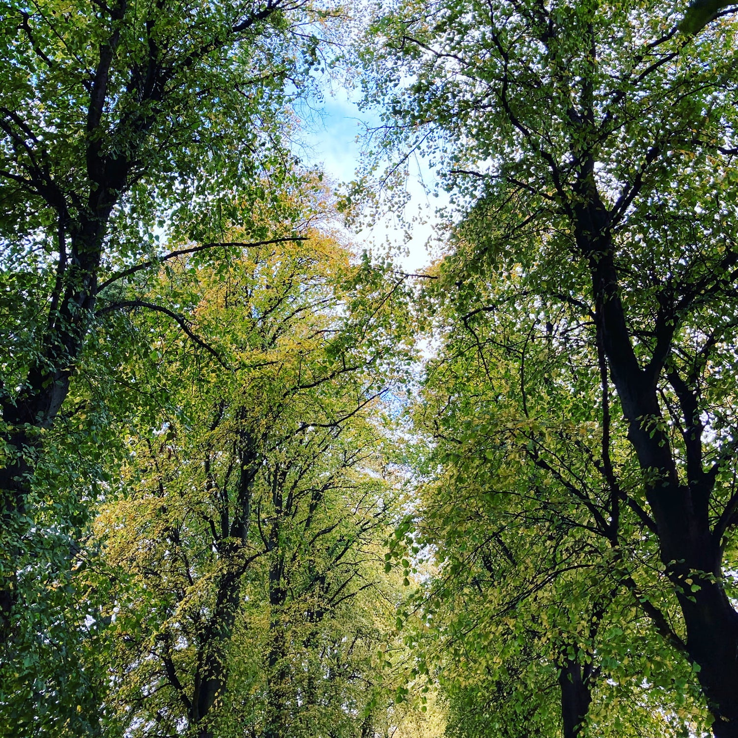 Can you Unworry yourself Well?