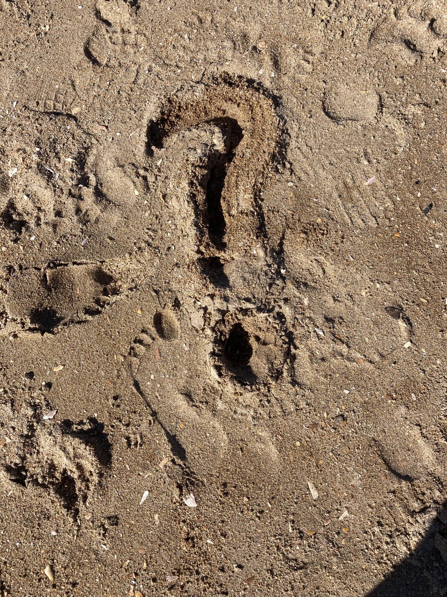 Ever wondered what happens to your brain when you make an estimate or a guesstimate ?