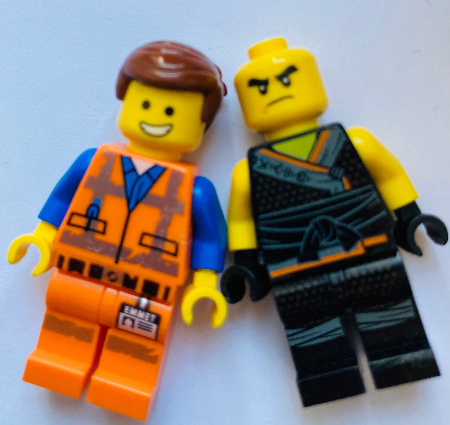 Cholesterol-brain friend or foe?