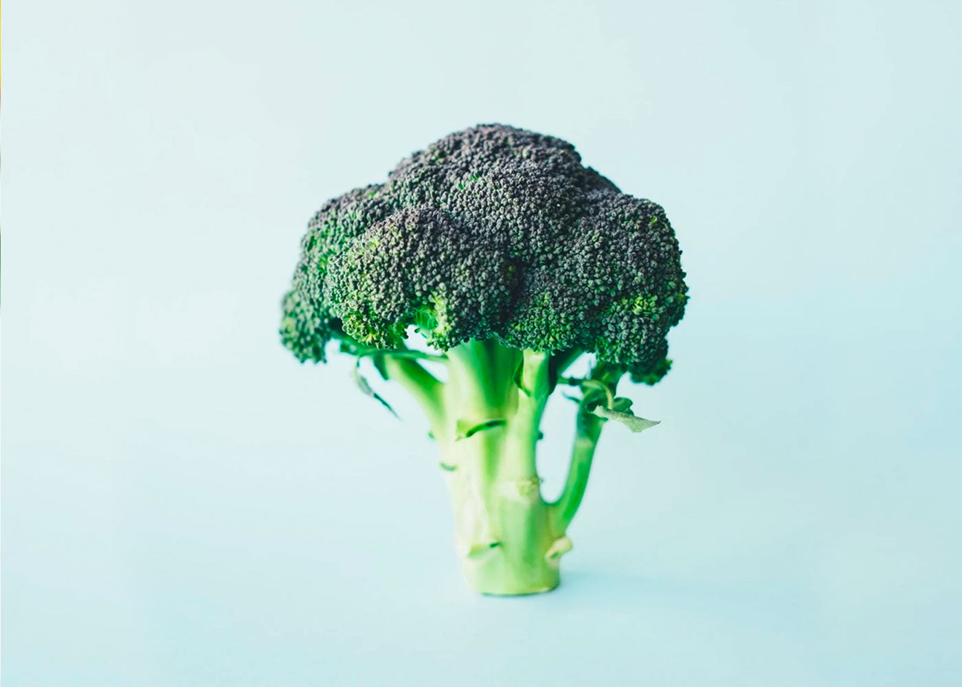 Anti Oxidants- Why they are important for brain health