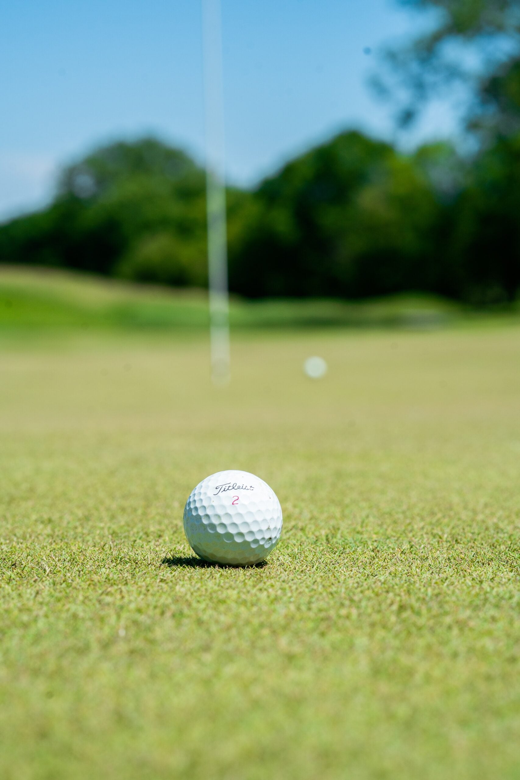 Anyone for a Round?