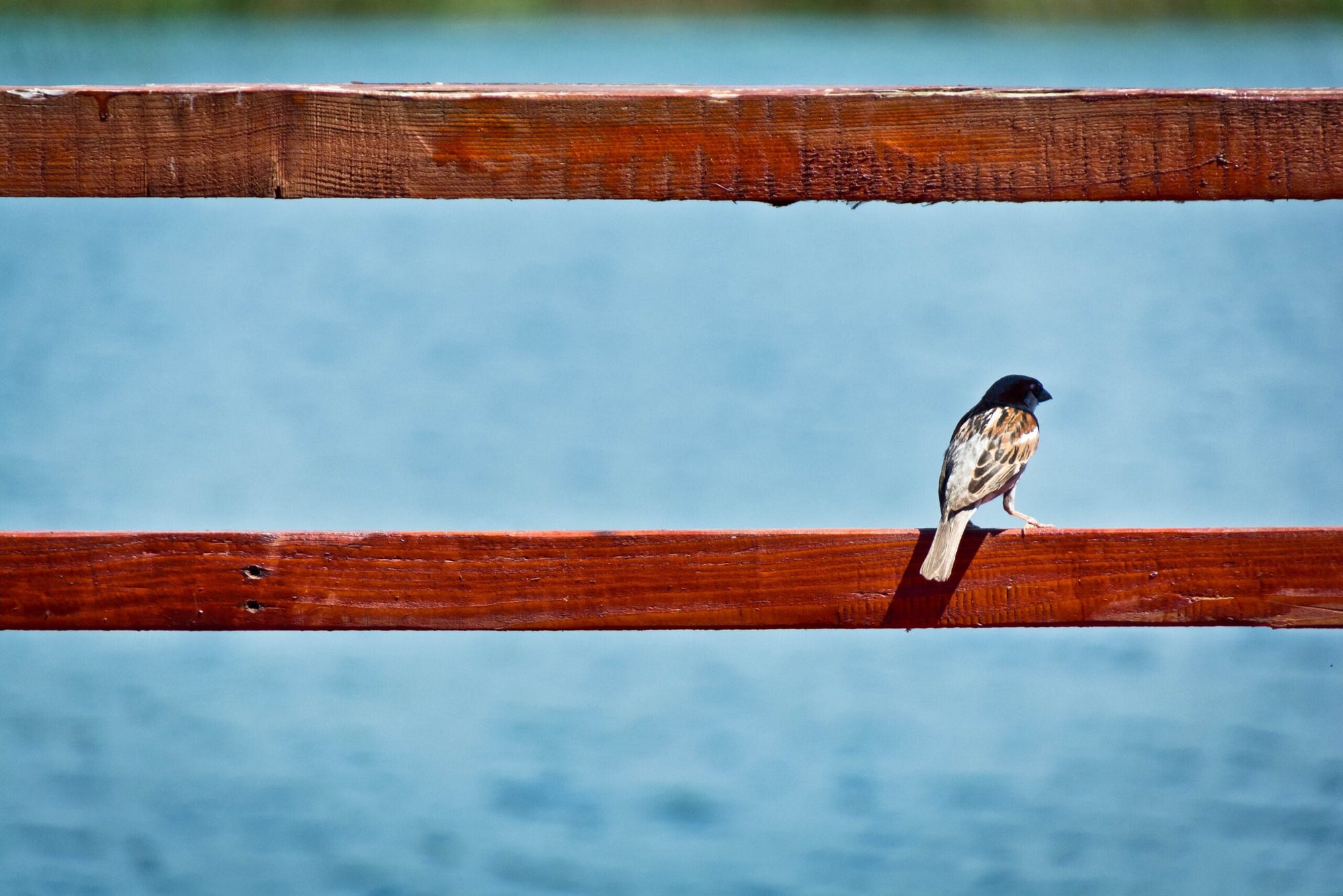 The Sound of Silence