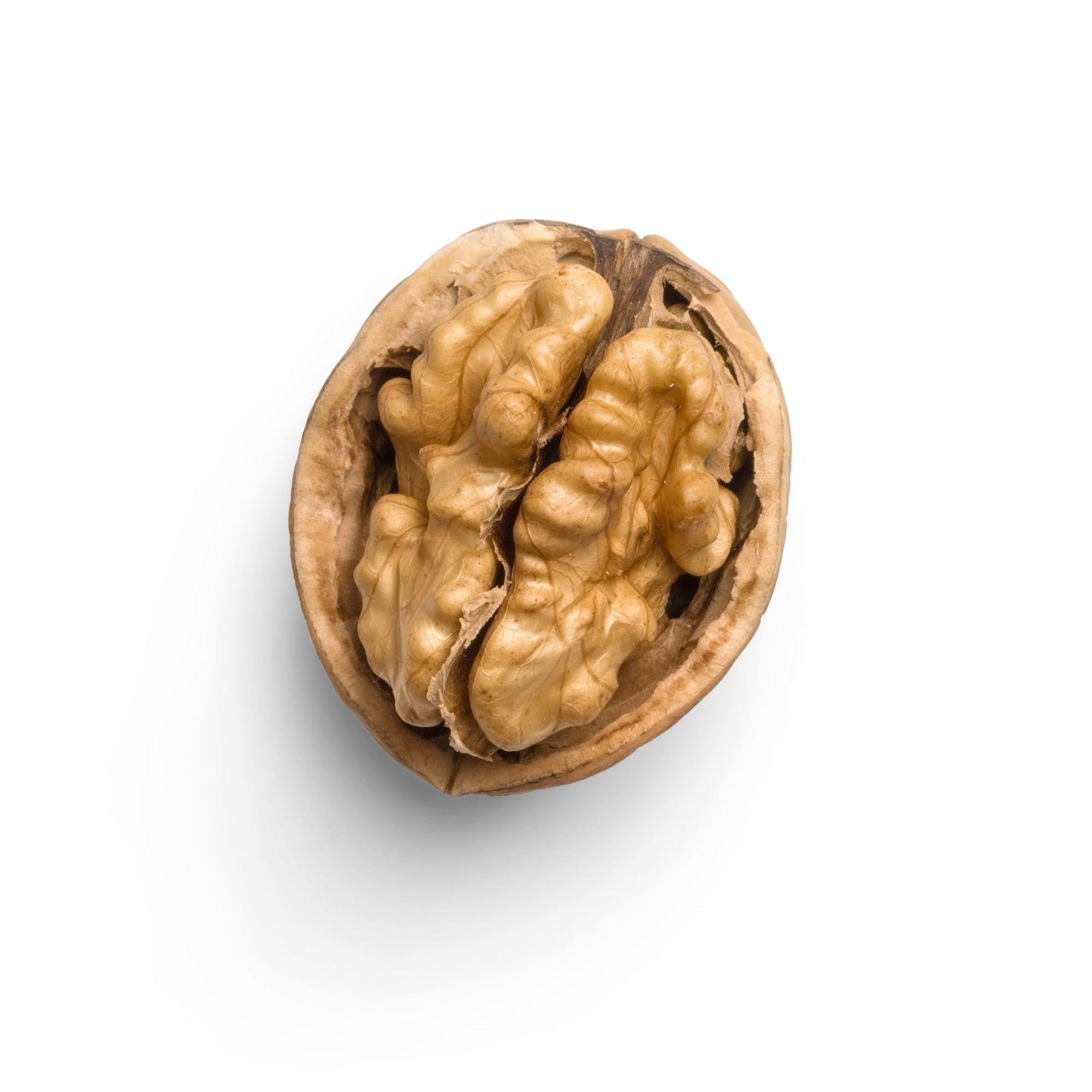 Brain Food