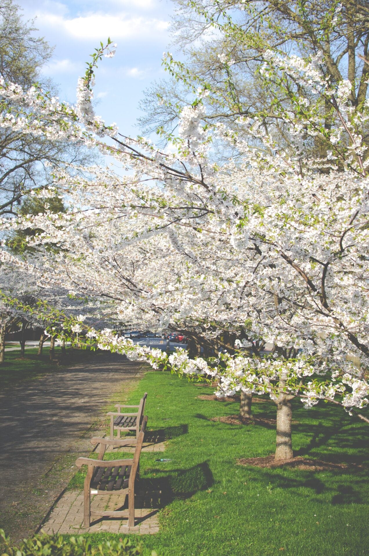 Do you walk or flaneur?