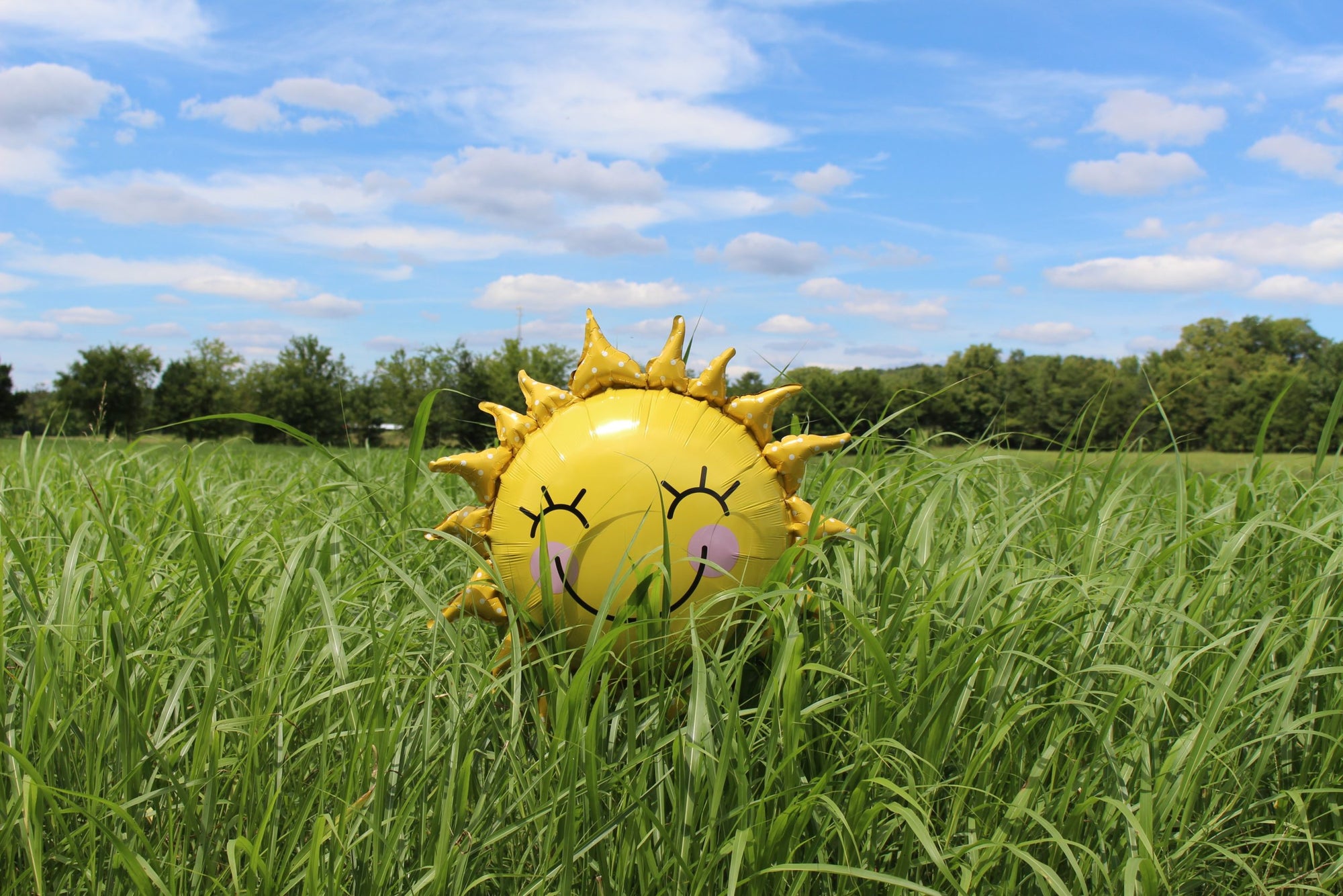 Why Having Enough Vitamin D is important