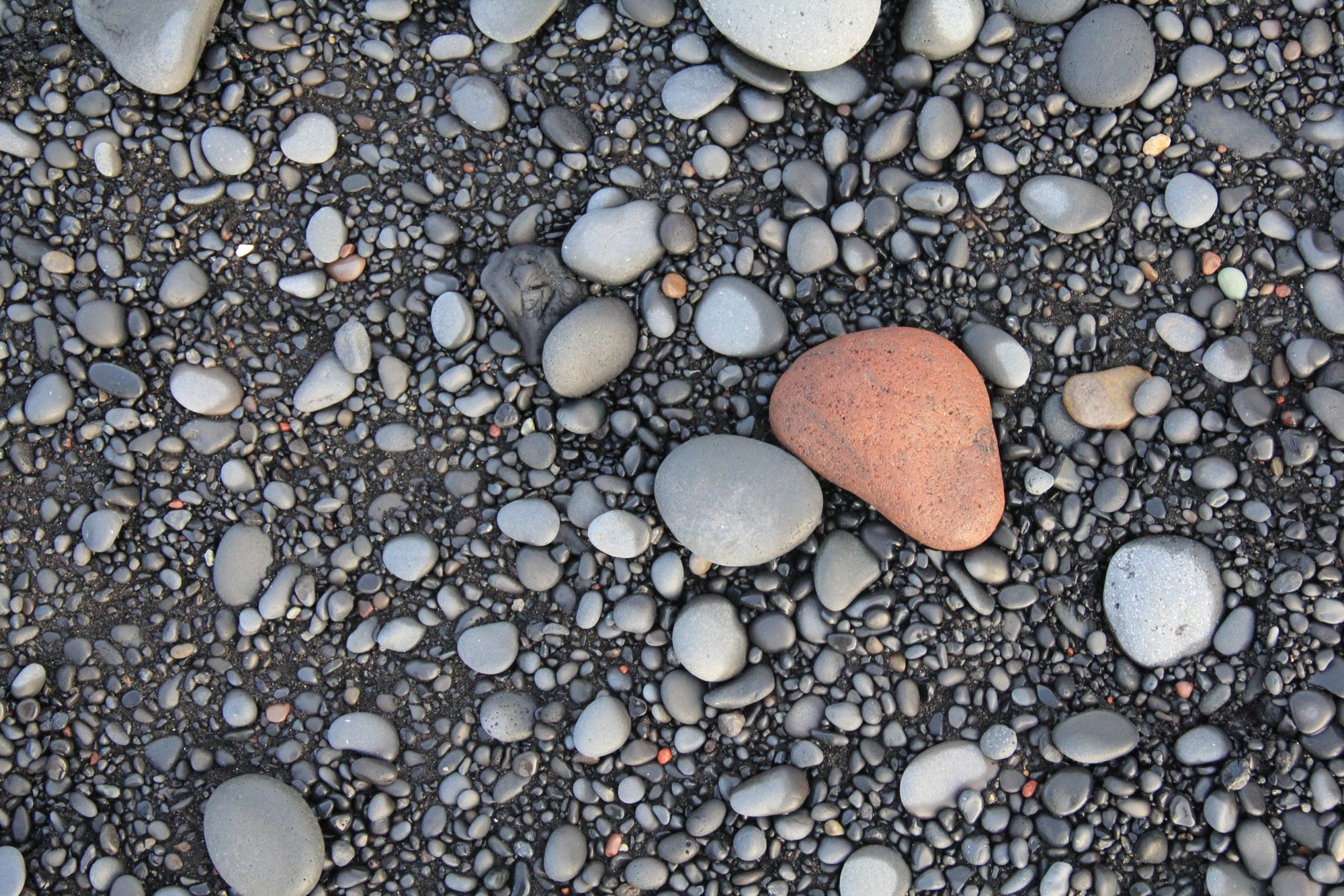 Feeling overwhelmed?