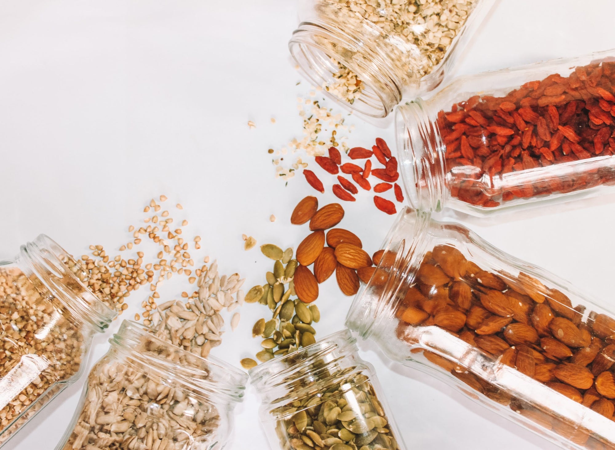 Noggin Nugget- Food sources of B vitamins