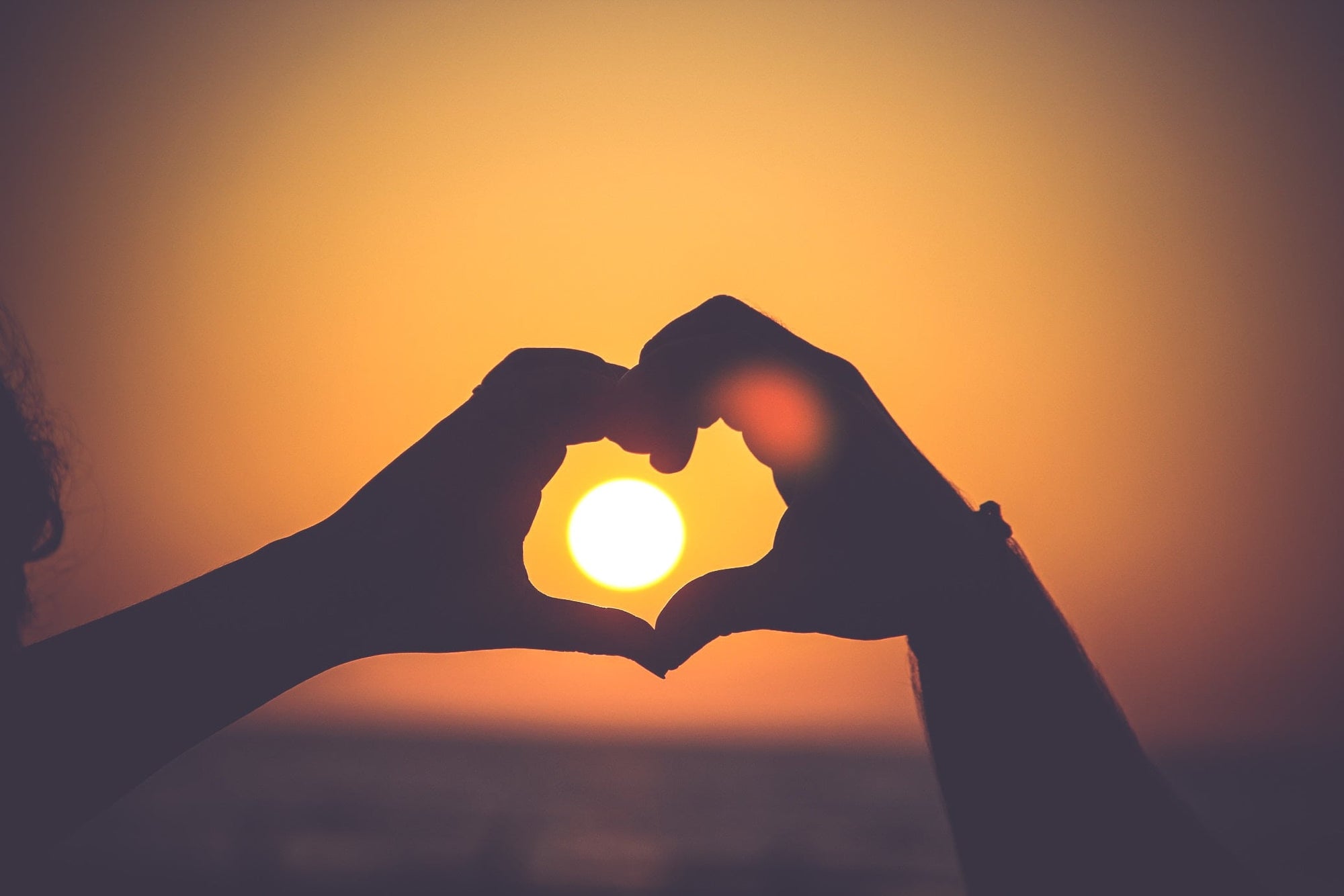 Brain Health and MS -how we learnt that small changes matter