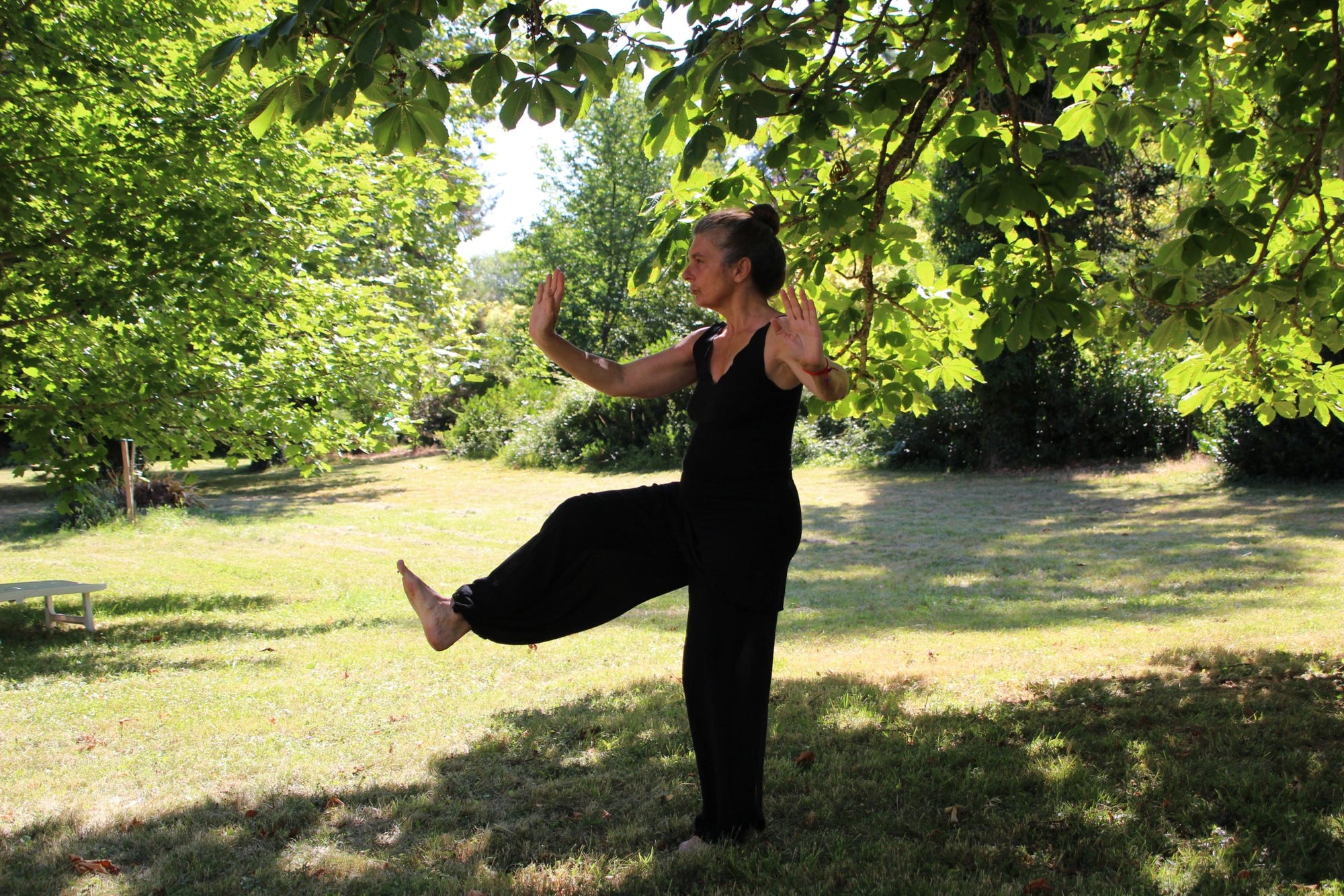 Tai Chi for Two?