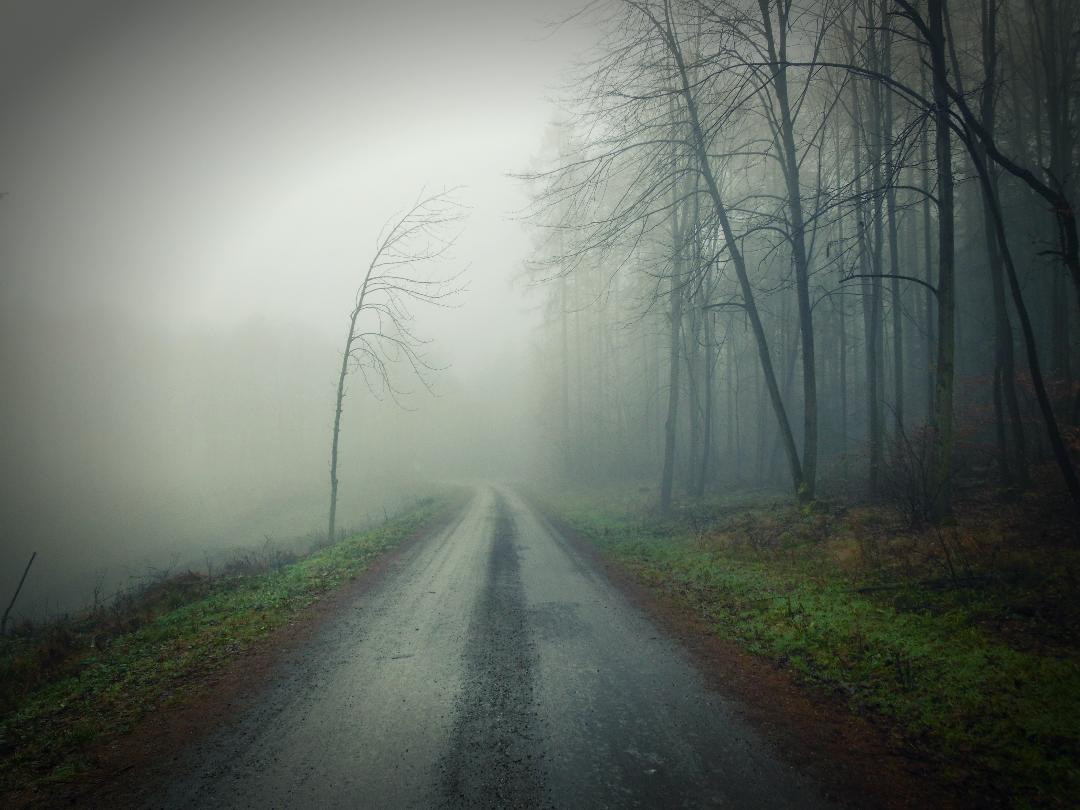 Seasonal Affective Disorder: What It Is And How To Manage It