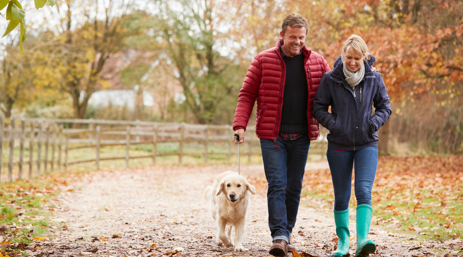 Building Blocks for Brain Health: Movement