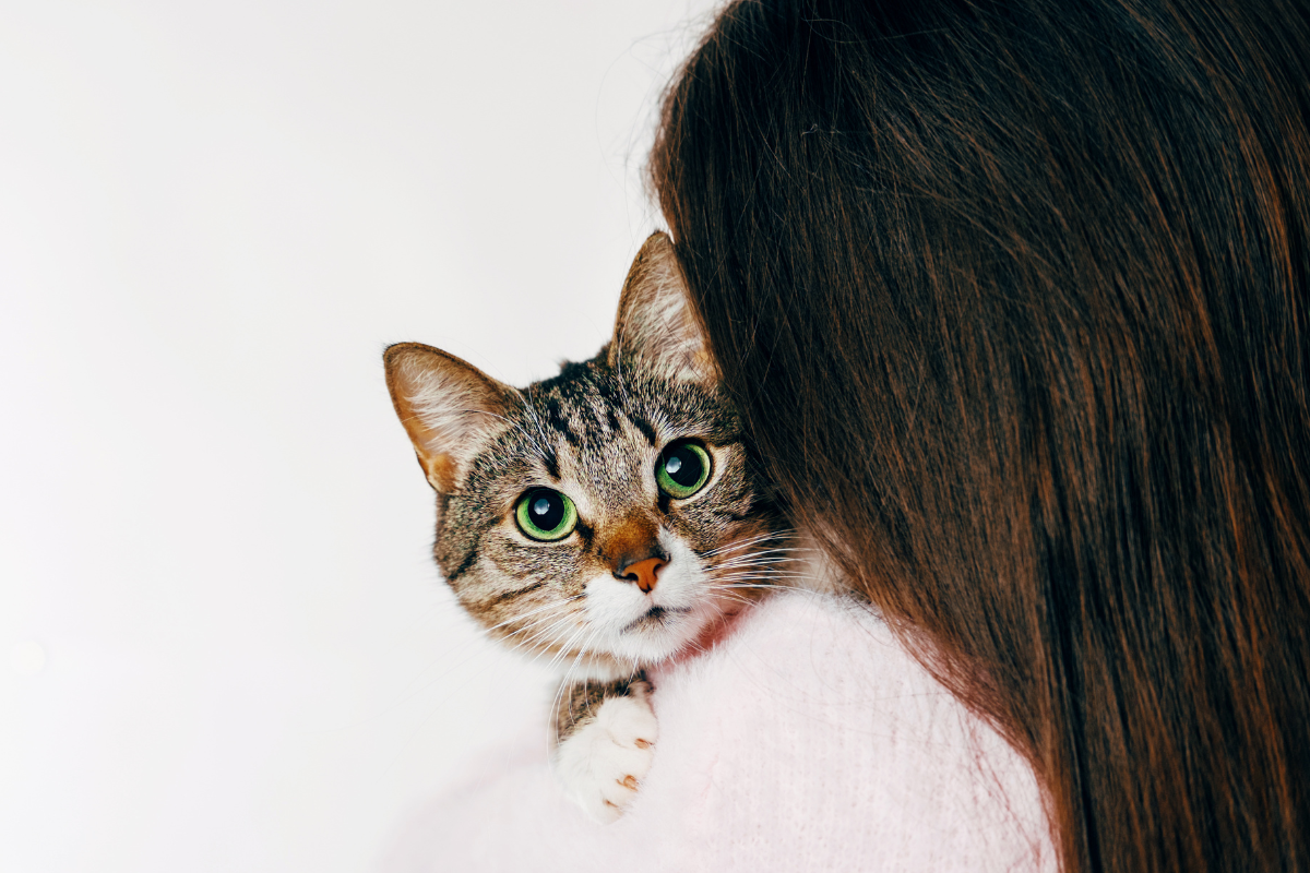 Purrfect News! Our furry friends are good for our brains