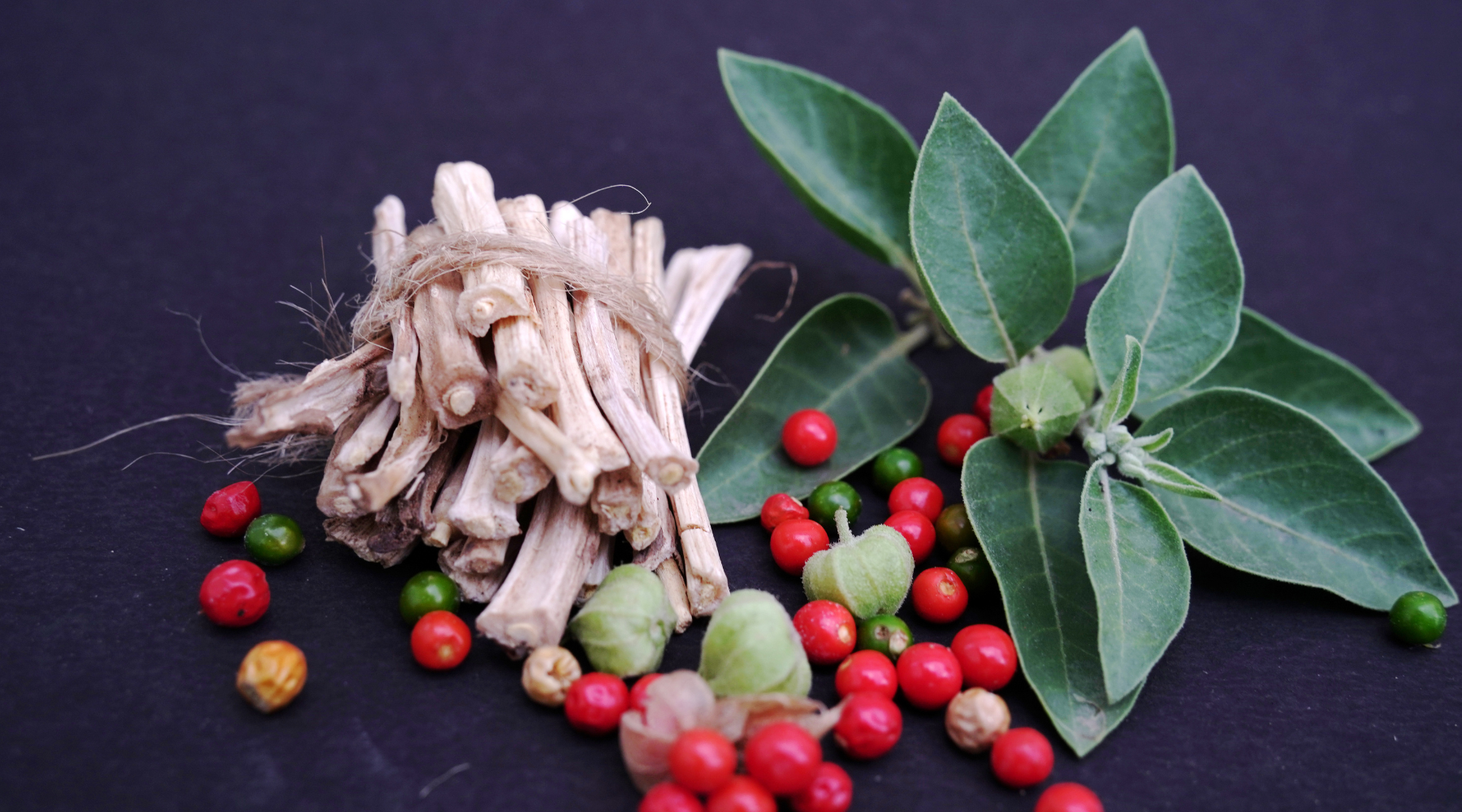 Does Ashwagandha Deserve the Hype for Our Brain Health?